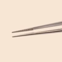 I5370 Bishop con dientes (0.3)