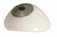 PC Prótesis Cosméticas diferentes colores y tamaños