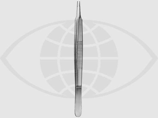 PINZA 0.12 MODELO BONN PREMIUM